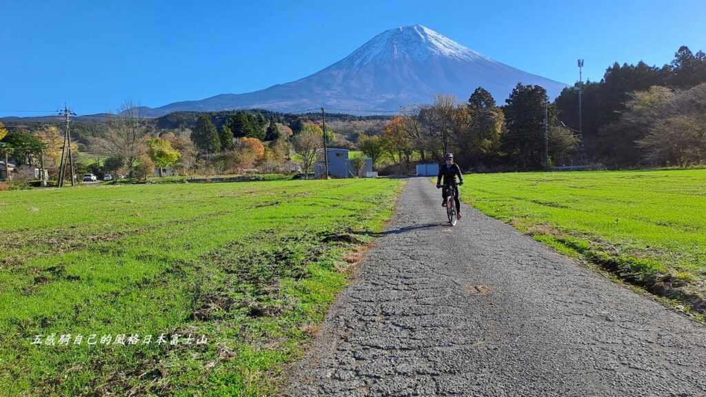 「麗玉」捉住富士山朝霧高原一丁點綠