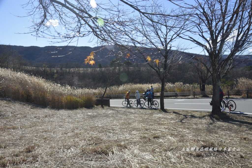 隨處亮眼的「山中湖」林野間