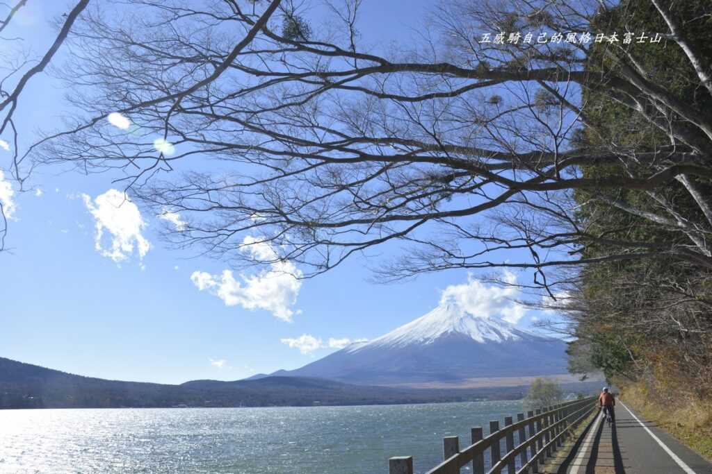 富士五湖之一中最大、最高的湖泊「山中湖」