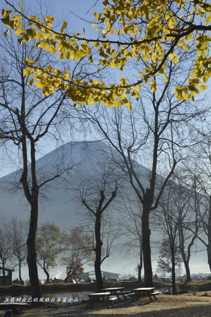 貼住這麼柔和朝霧高原