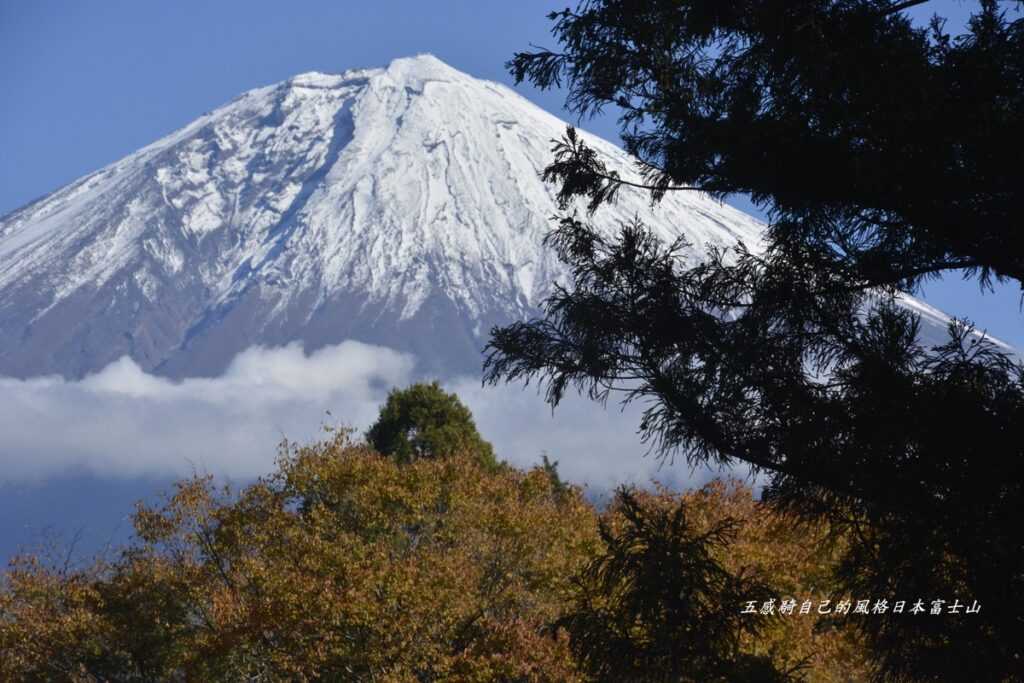 白絲瀑布前優美林相襯出「富士山」帝王氣象 