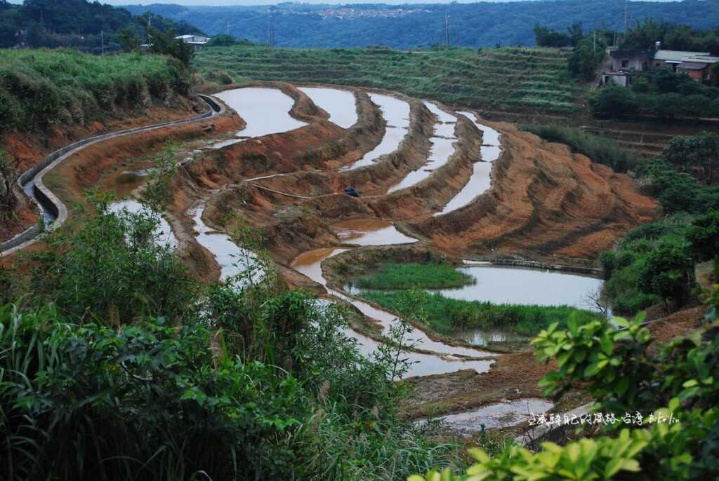 躲藏山凹間「石門梯田景觀」