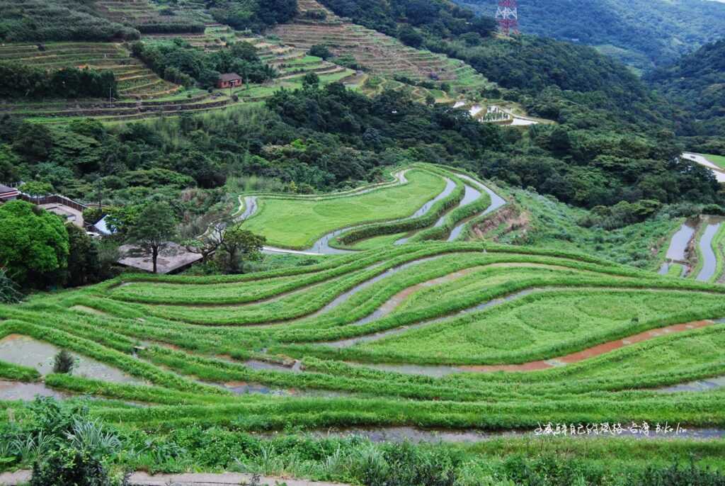 2010年初驚艷「百年梯田石門嵩山」